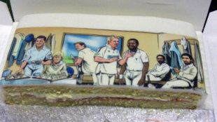 A cake that shows a dressing room of famous Hampshire players, England v India, 2nd ODI, Rose Bowl, September 6, 2011