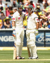 Michael Hussey and Ricky Ponting steadied Australia