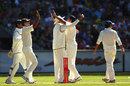 India celebrate the wicket of Ricky Ponting