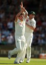 Peter Siddle and Shaun Marsh celebrate Virender Sehwag's wicket