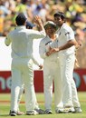Zaheer Khan celebrates the wicket of David Warner