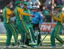 South Africa celebrate Rob Nicol's run-out