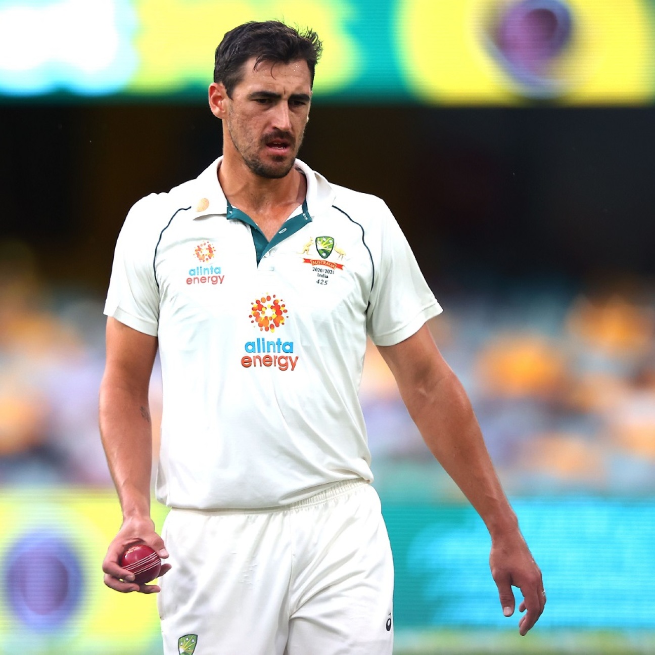 Aus vs Ind - Mitchell Starc gives Australia hamstring scare on eve of  decisive day in Brisbane