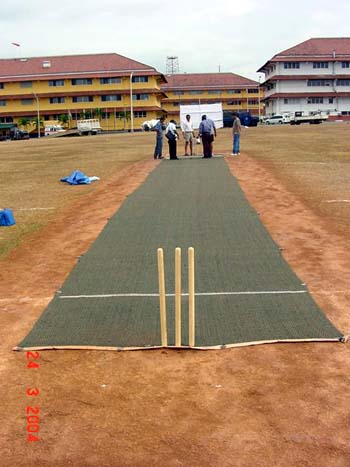 Play school matches on matting wickets