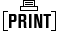 print icon